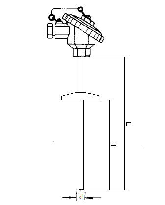 WZP-230T衛(wèi)生型卡盤(pán)裝配式熱電阻安裝圖片